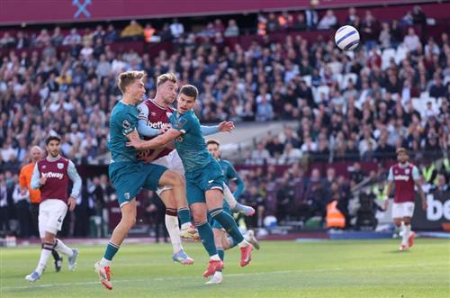 Exploring the Betting Field: Essential Guide